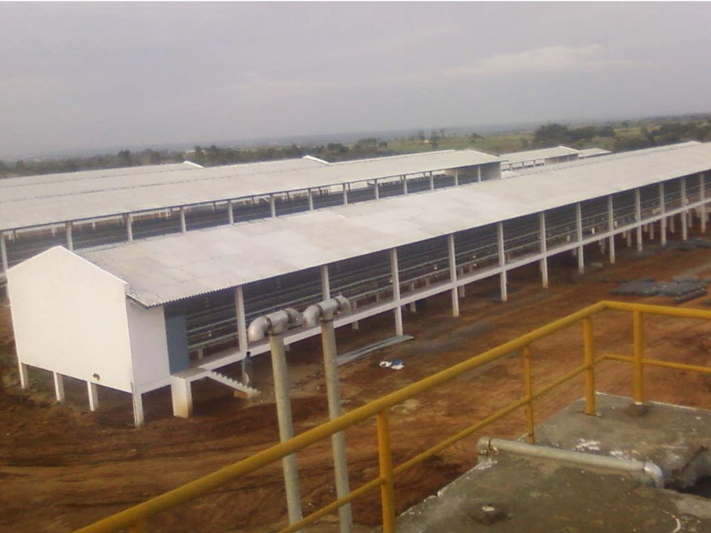 swami feeds -Poultry Sheds